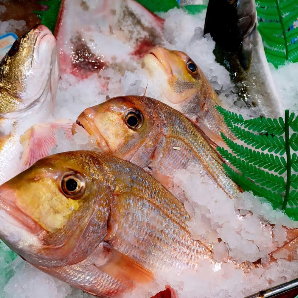 Pescado fresco